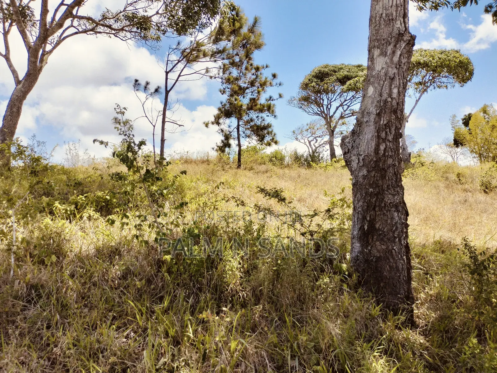 4.5 Acre Golini Ridge Land on Sale!! At in Tsimba Golini