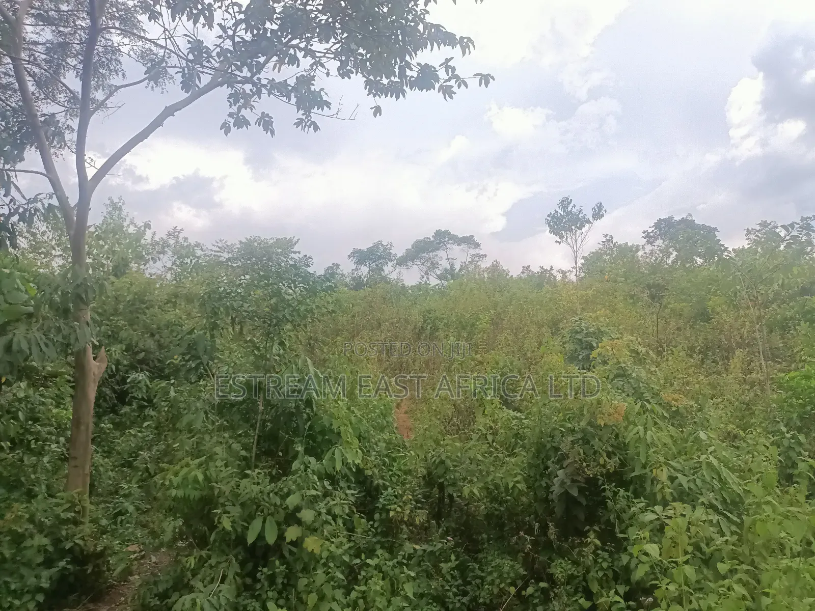 5 Acres Land for Sale at Gem Sirembe in Siaya County. in Central Gem
