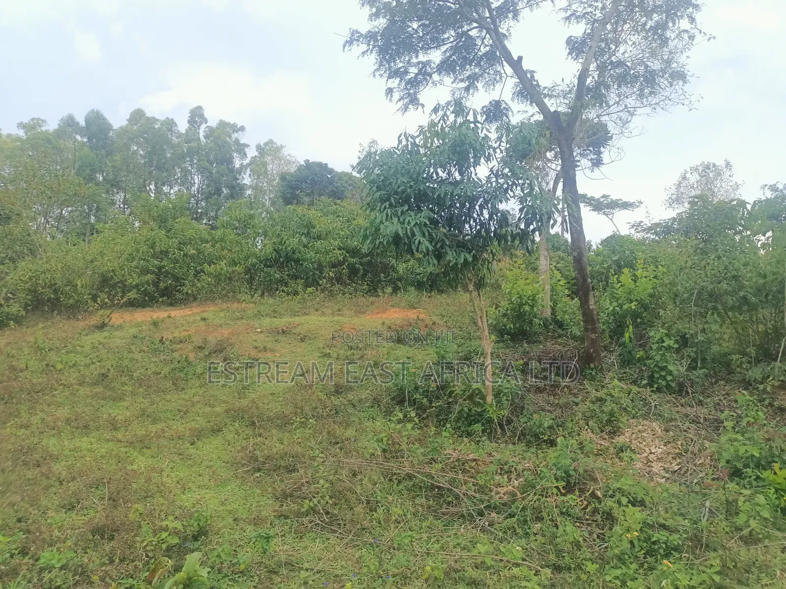 5 Acres Land for Sale at Gem Sirembe in Siaya County. in Central Gem