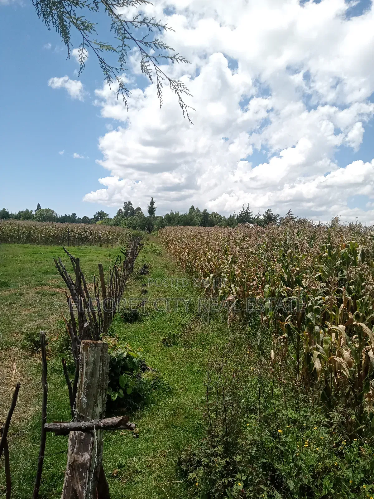 21 Acres Talnget After Ilula With Title in Soy
