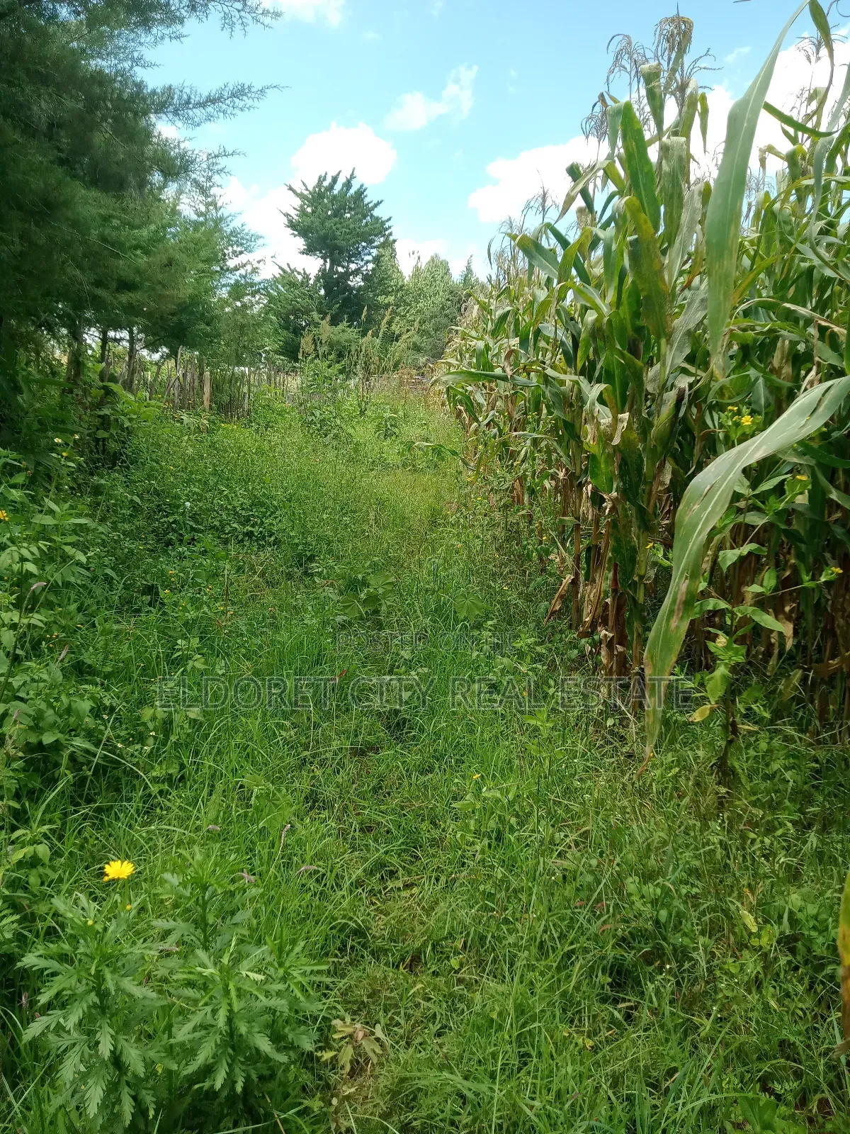 21 Acres Talnget After Ilula With Title in Soy