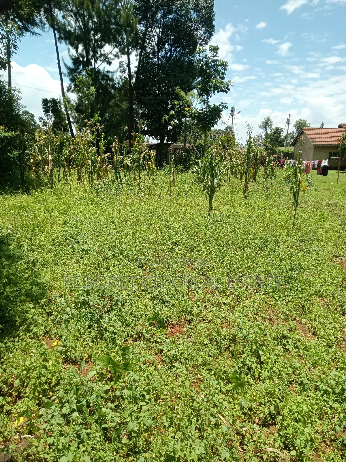 1/2 Acre Annex,/Sukunanga With Title. in Soy