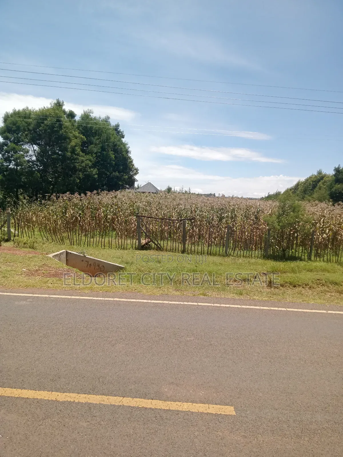 2 Acres Jagiir Farm,Near Koilel Touching Tarmac. in Soy