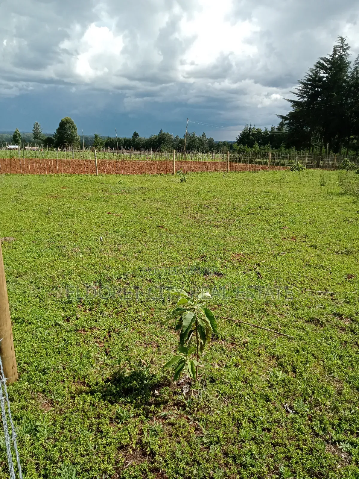 1/4 Plot Kapseret Inder Area You Can Access Through Bypass. in Soy