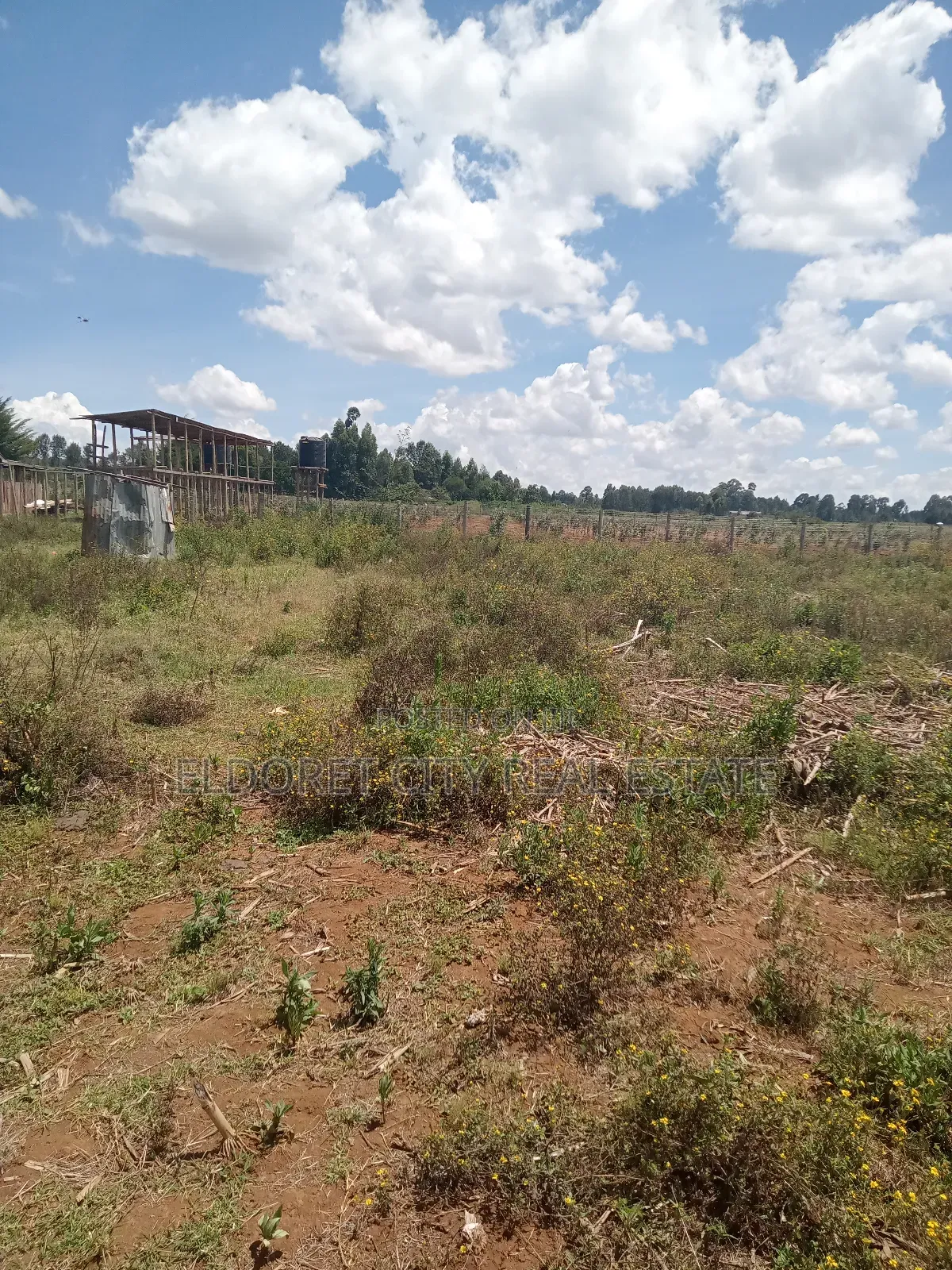 1/8 Plot Outspan After Annex Kiambaa Area in Soy