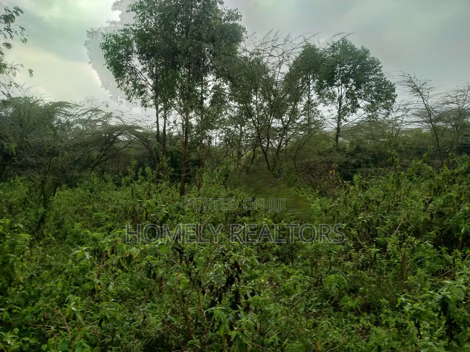 Quarter Acre Plot in Ongata Rongai, Acacia Along Merisho Rd in Ongata Rongai
