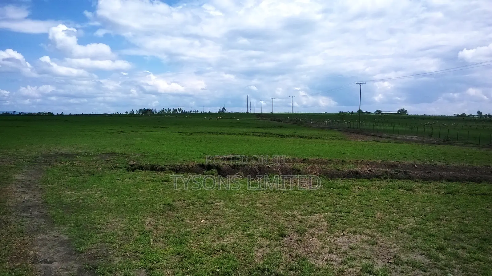 10 Acre Land for Sale in Acacia, Kitengela in Kitengela
