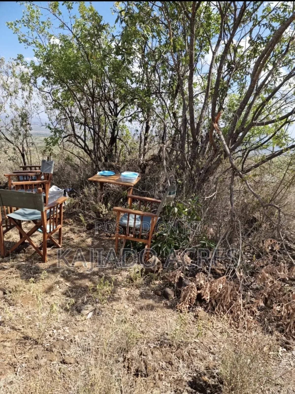 Ewuaso Kedong: 20 Acres of Hot Springs Property for Sale, Ksh per Acre in Ewaso Kendong