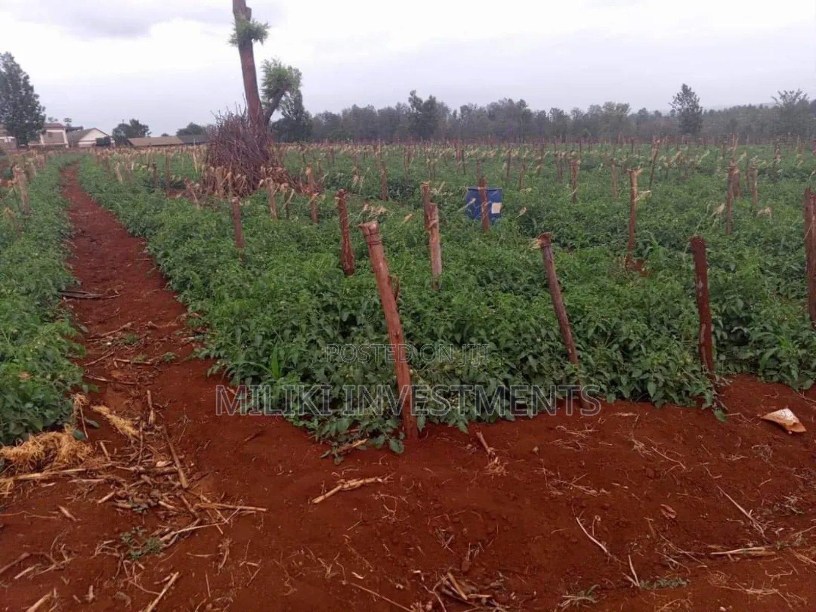 30 Acres on Sale at Maragua in Kamahuha