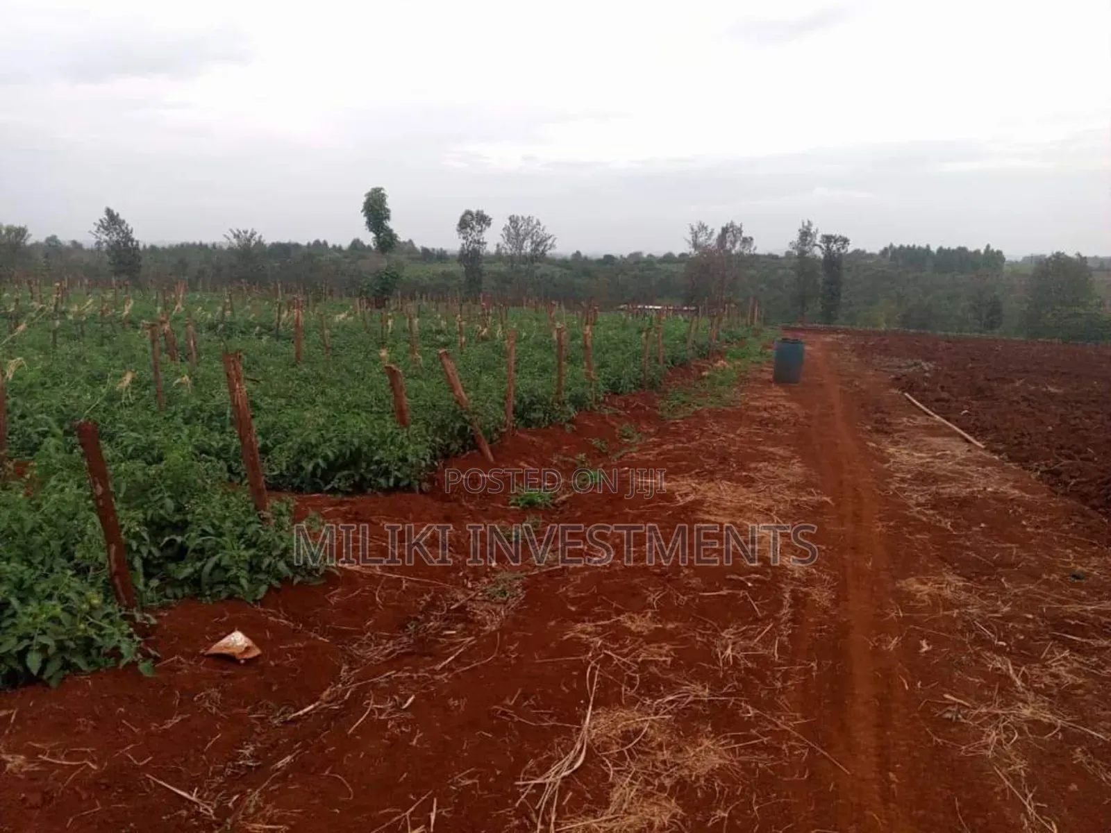 30 Acres on Sale at Maragua in Kamahuha