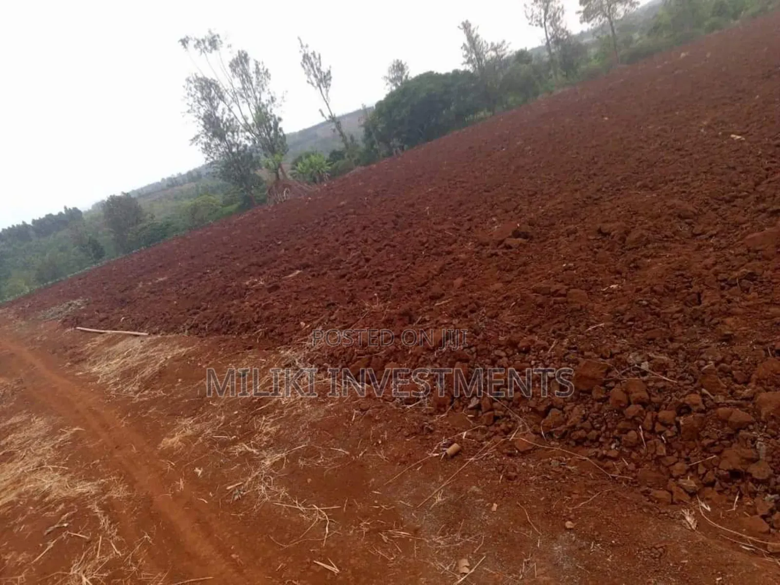 30 Acres on Sale at Maragua in Kamahuha