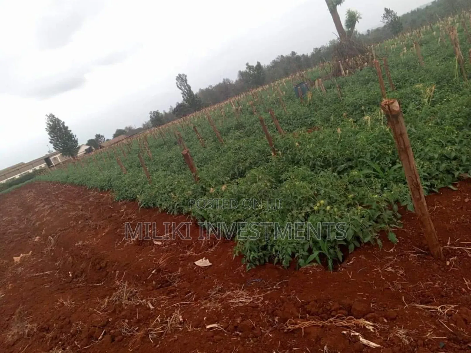 30 Acres on Sale at Maragua in Kamahuha