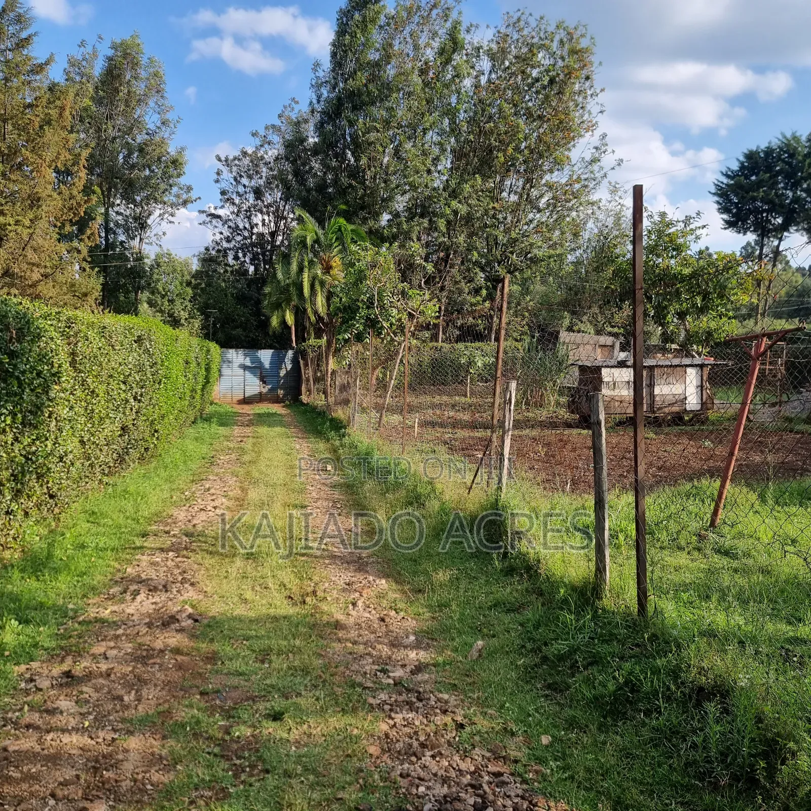 Prime 1/8 Ngong in Ngong CBD