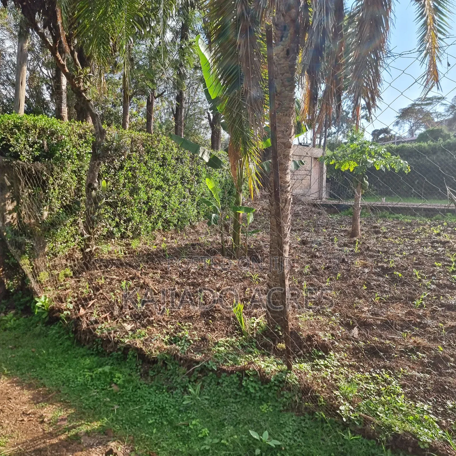 Prime 1/8 Ngong in Ngong CBD