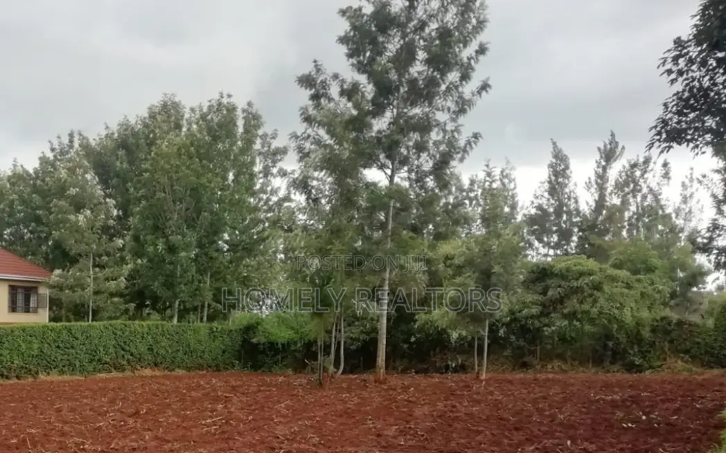 Residential Quarter Acre Plot in Kerarapon. Red Soil in Kerarapon