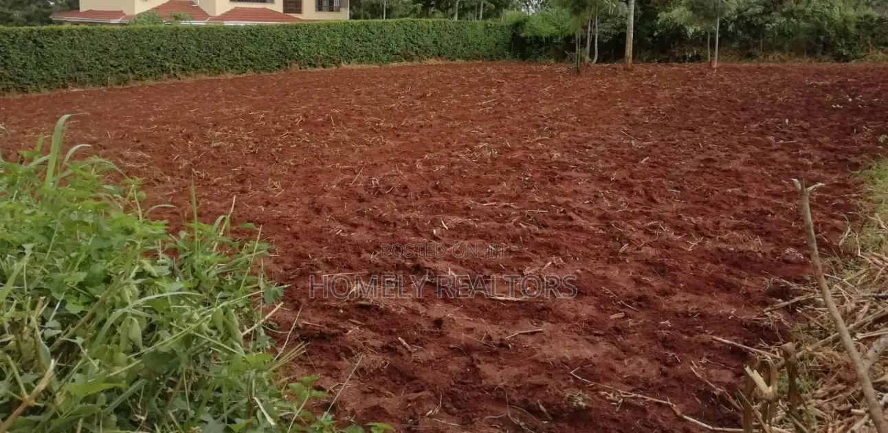 Residential Quarter Acre Plot in Kerarapon. Red Soil in Kerarapon