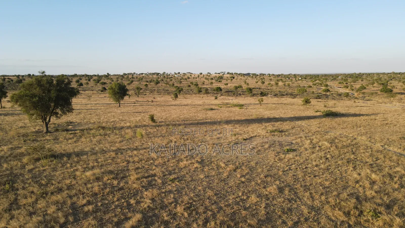 Prime Fenced 38 Acres Sajiloni at 1.5m Per Acre in Imaroro