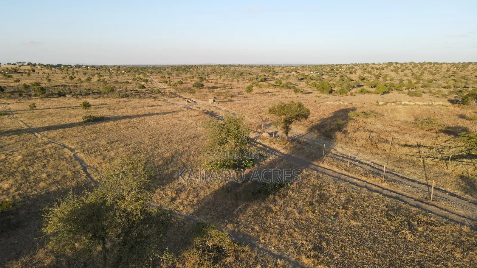Prime Fenced 38 Acres Sajiloni at 1.5m Per Acre in Imaroro