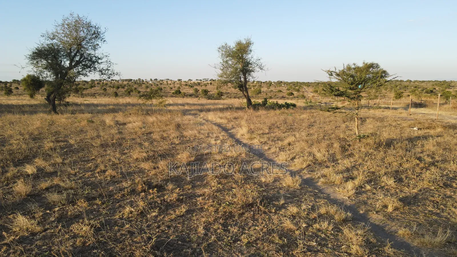 Prime Fenced 38 Acres Sajiloni at 1.5m Per Acre in Imaroro