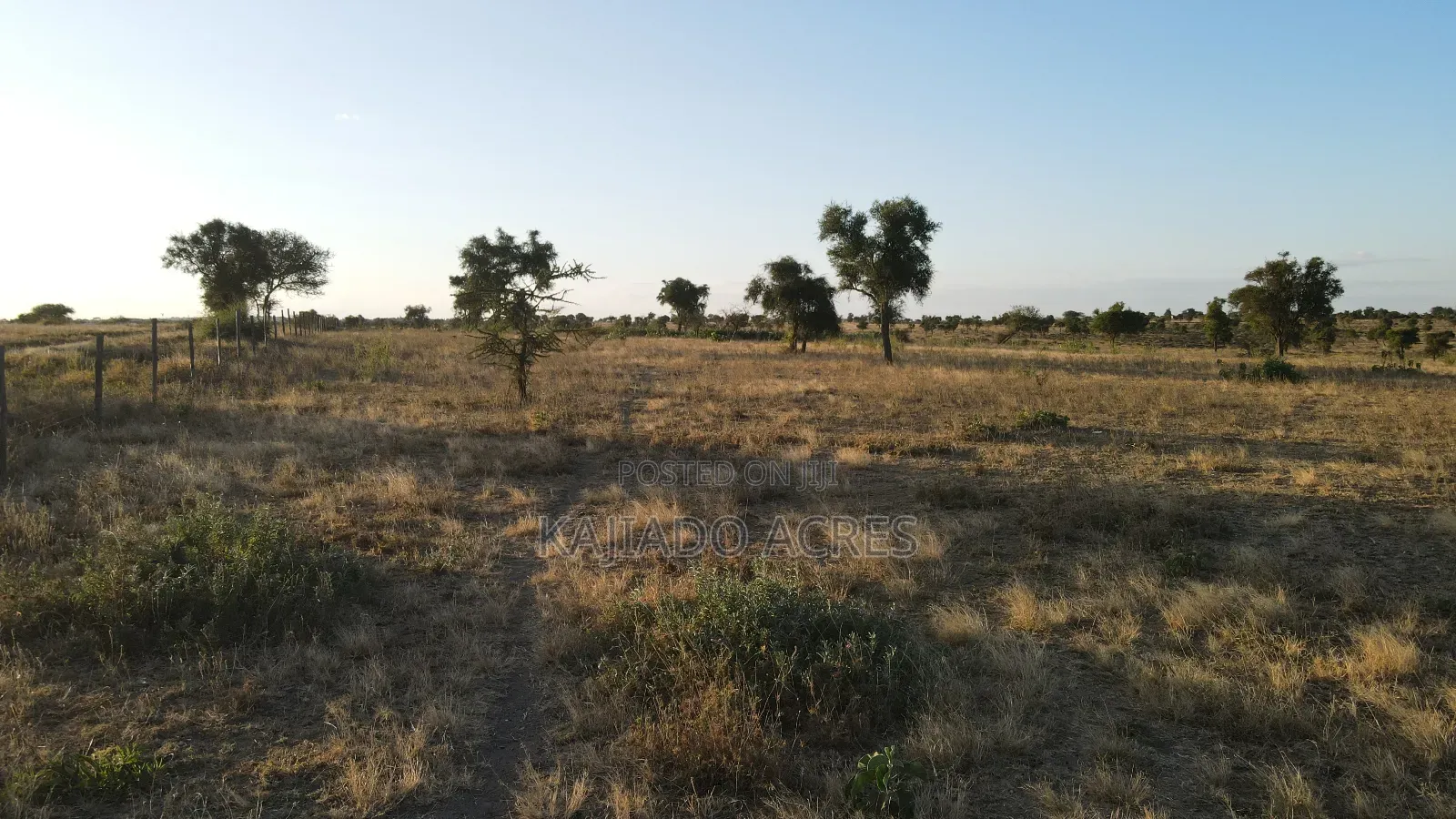 Prime Fenced 38 Acres Sajiloni at 1.5m Per Acre in Imaroro