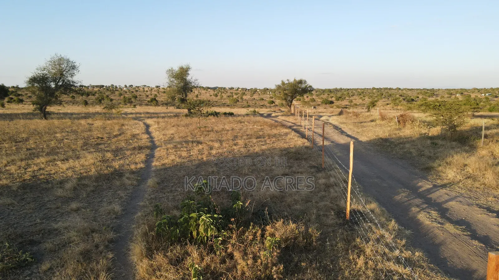Prime Fenced 38 Acres Sajiloni at 1.5m Per Acre in Imaroro