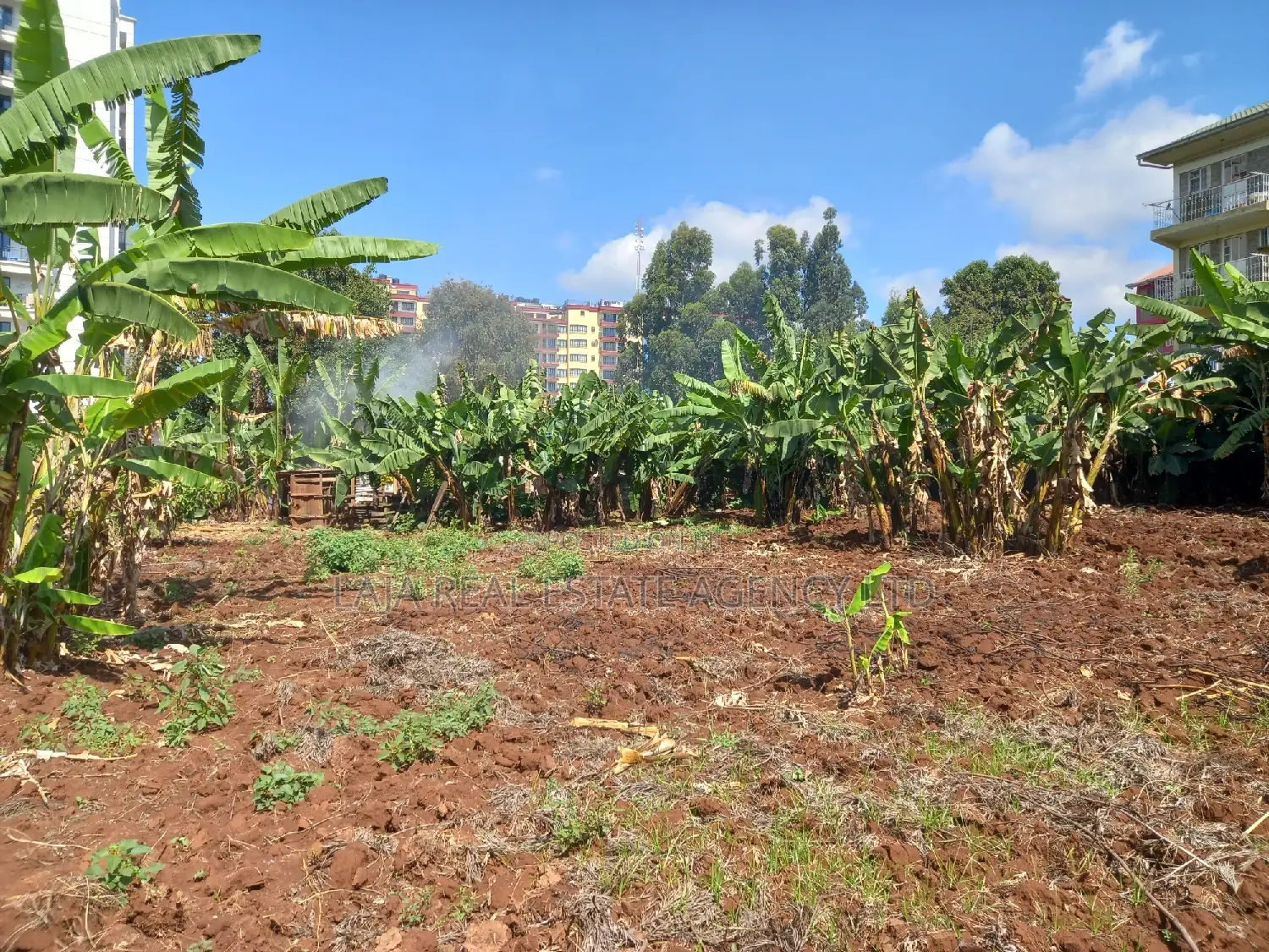 Ruaka Land Sale in Ruaka
