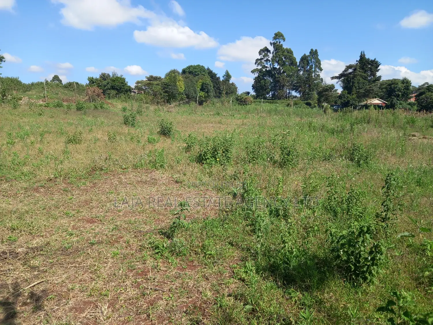 Redhill Land on Sale in Ngecha