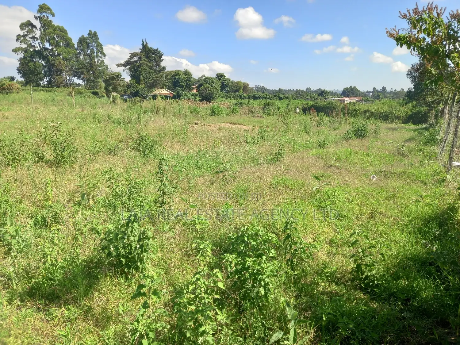 Redhill Land on Sale in Ngecha
