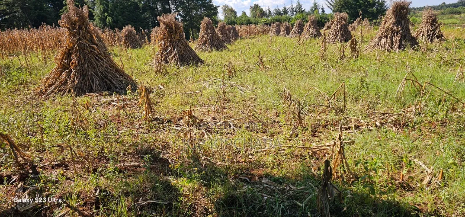 Plot for Sale in Chepkanga Eldoret in Kimumu