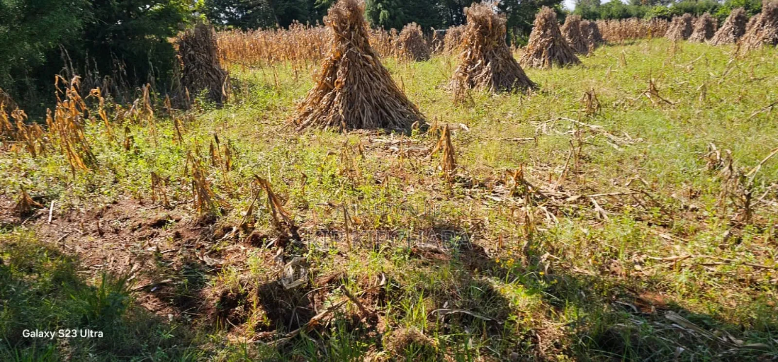 Plot for Sale in Chepkanga Eldoret in Kimumu