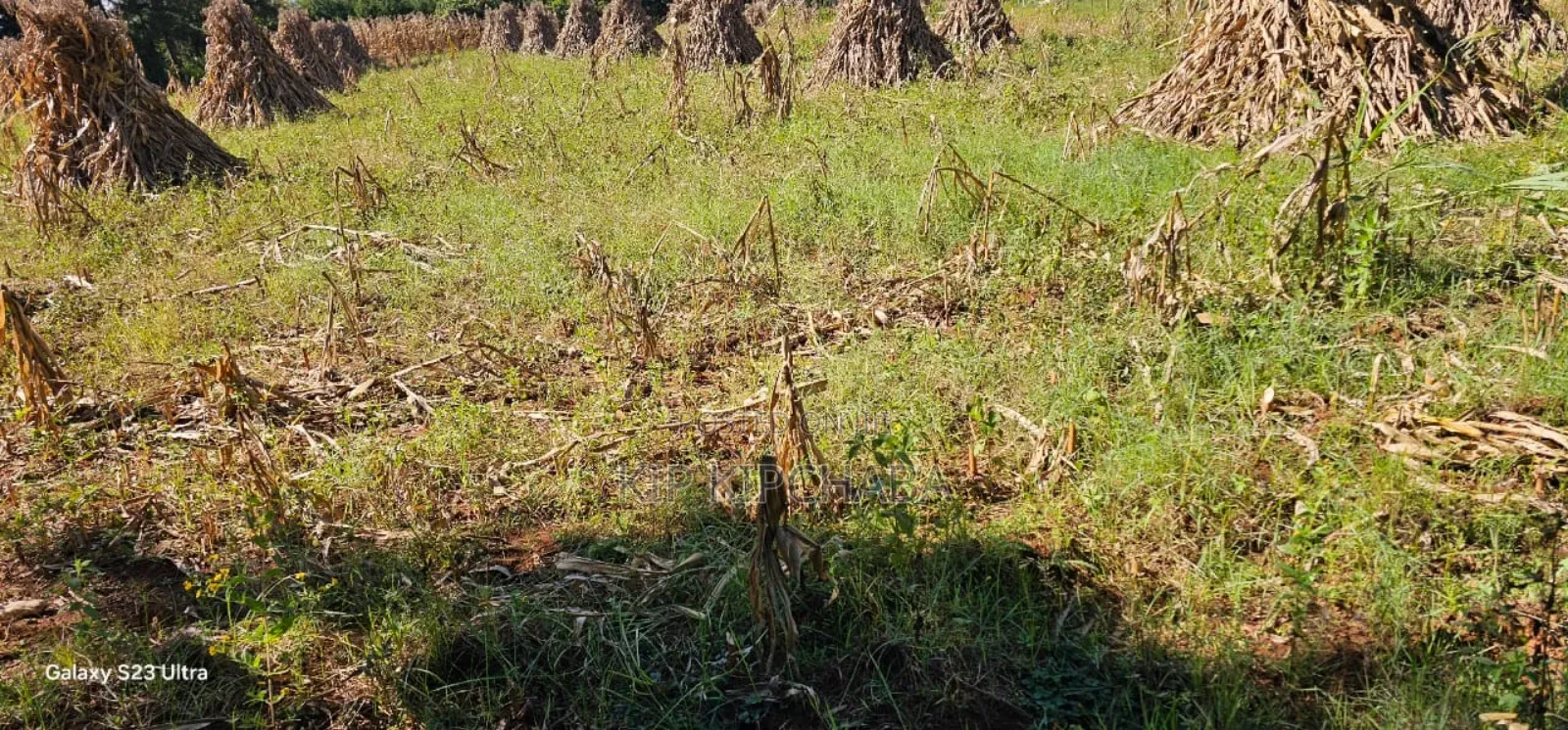 Plot for Sale in Chepkanga Eldoret in Kimumu