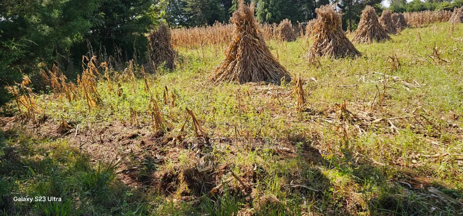 Plot for Sale in Chepkanga Eldoret in Kimumu