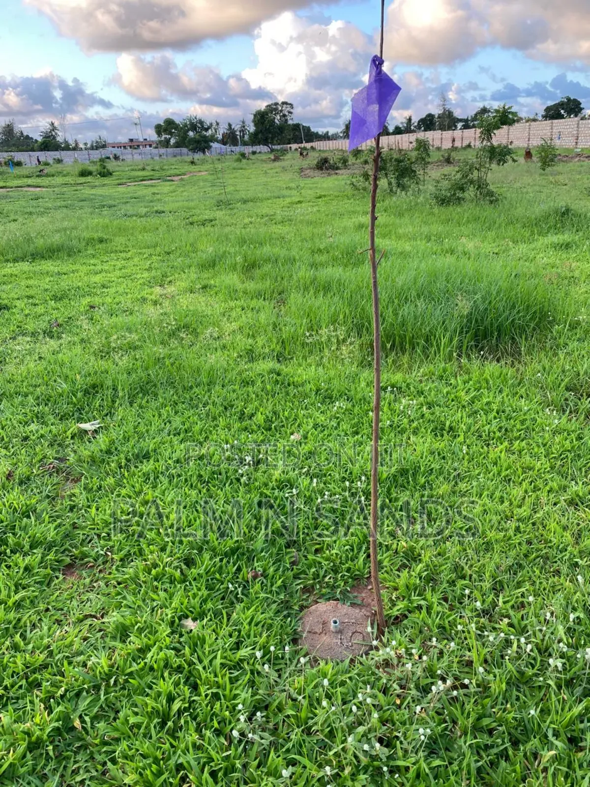 4 Acre Prime Property in Mtwapa on Sale in Mtwapa