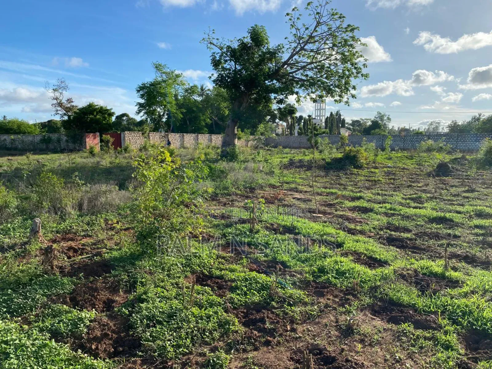 4 Acre Prime Property in Mtwapa on Sale in Mtwapa