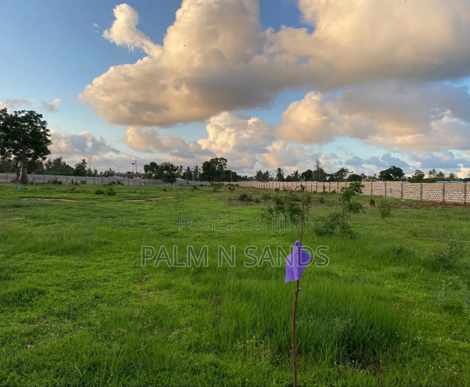 4 Acre Prime Property in Mtwapa on Sale in Mtwapa
