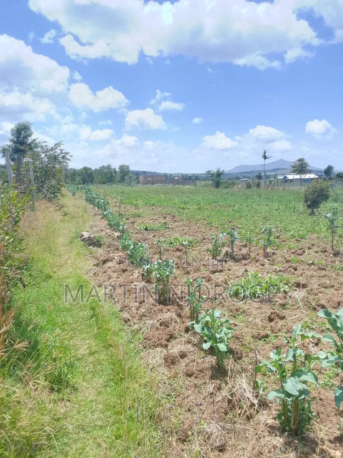 3.5 Acres Nyamathi, Naivasha in Naivasha East