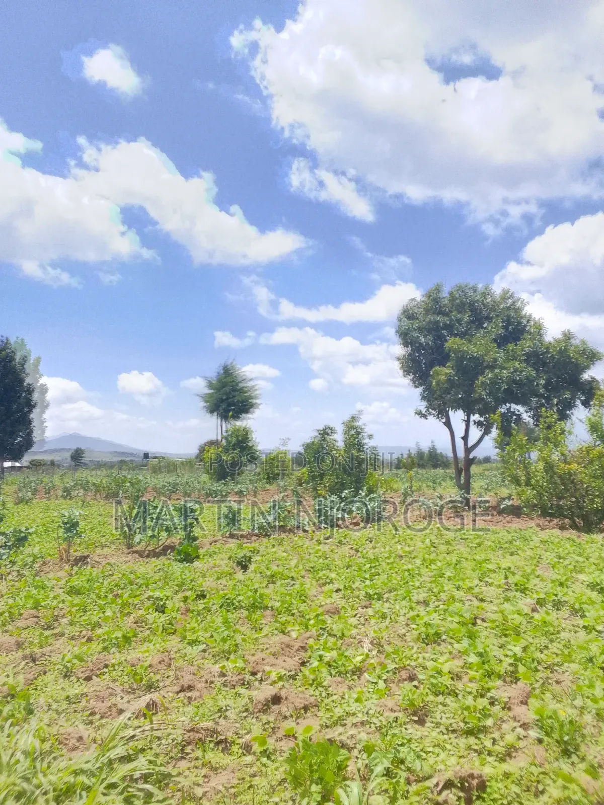 3.5 Acres Nyamathi, Naivasha in Naivasha East