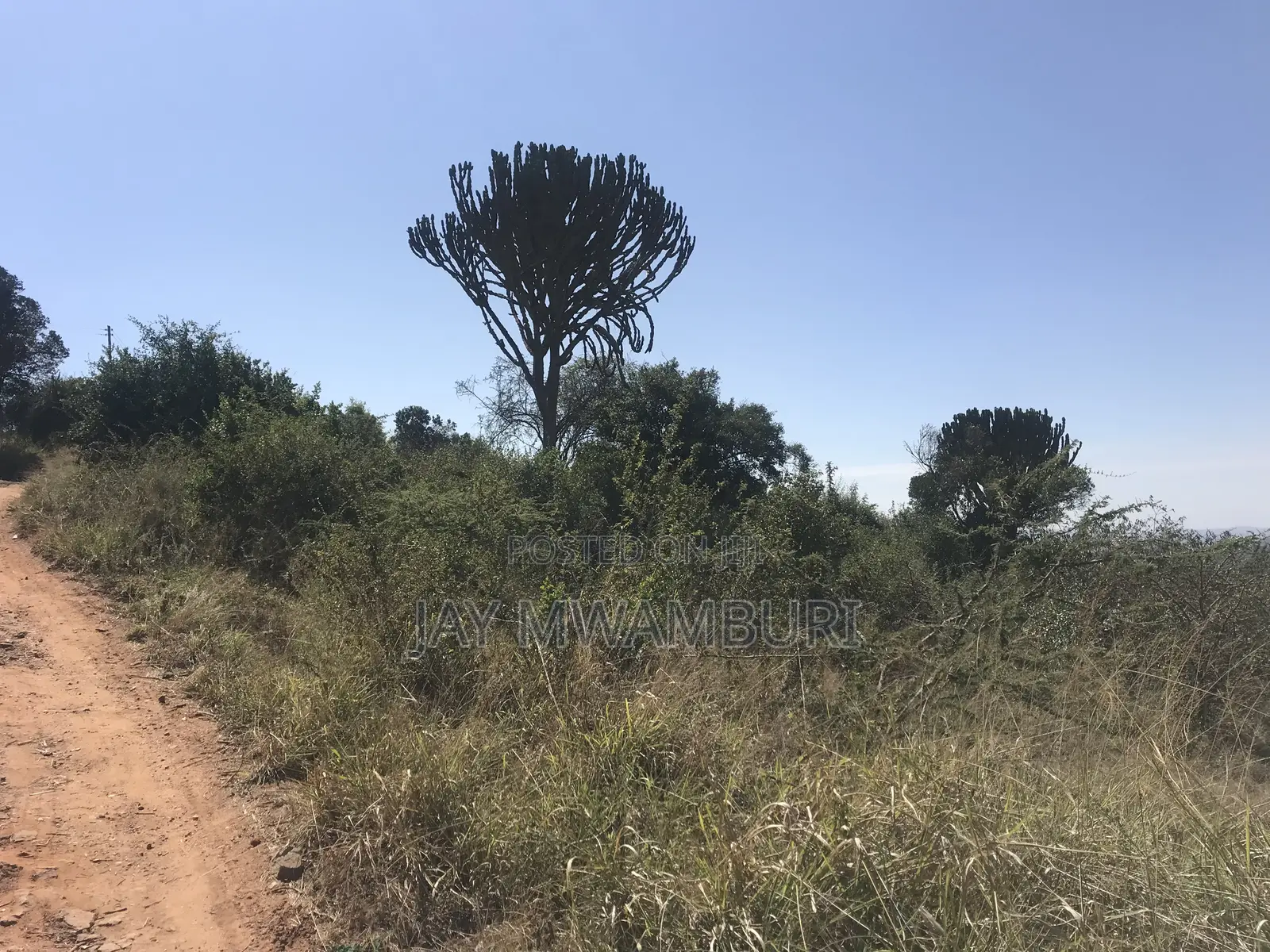 Elevated 5 Acres Land Mua Hills in Mua Hills