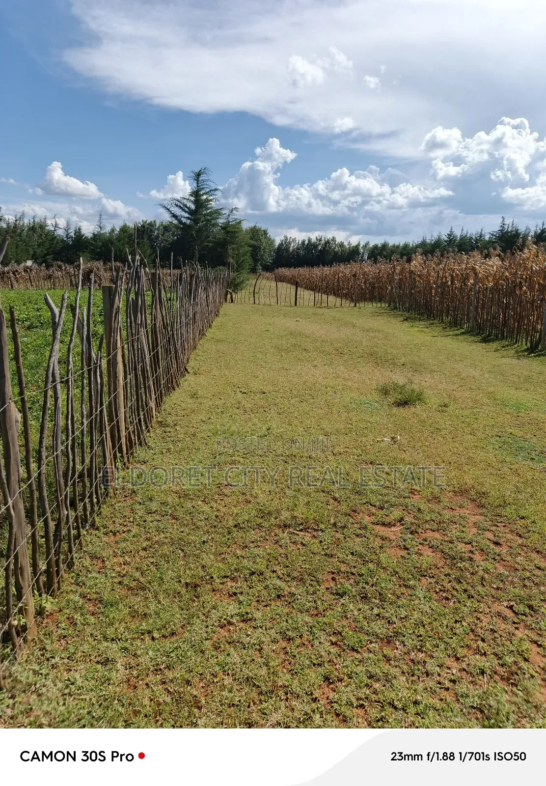 1/2 Acre Kiplombe With Title. in Eldoret West