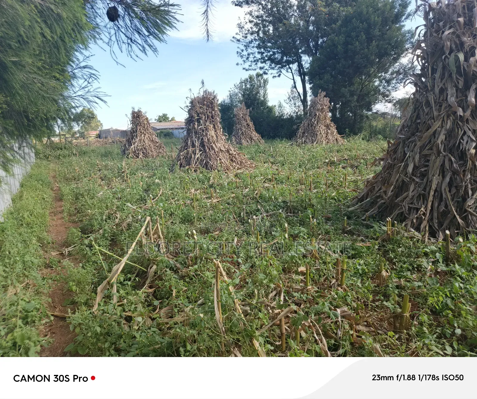 1/4 Plot Munyaka Near Kapsoya With Title in Eldoret West