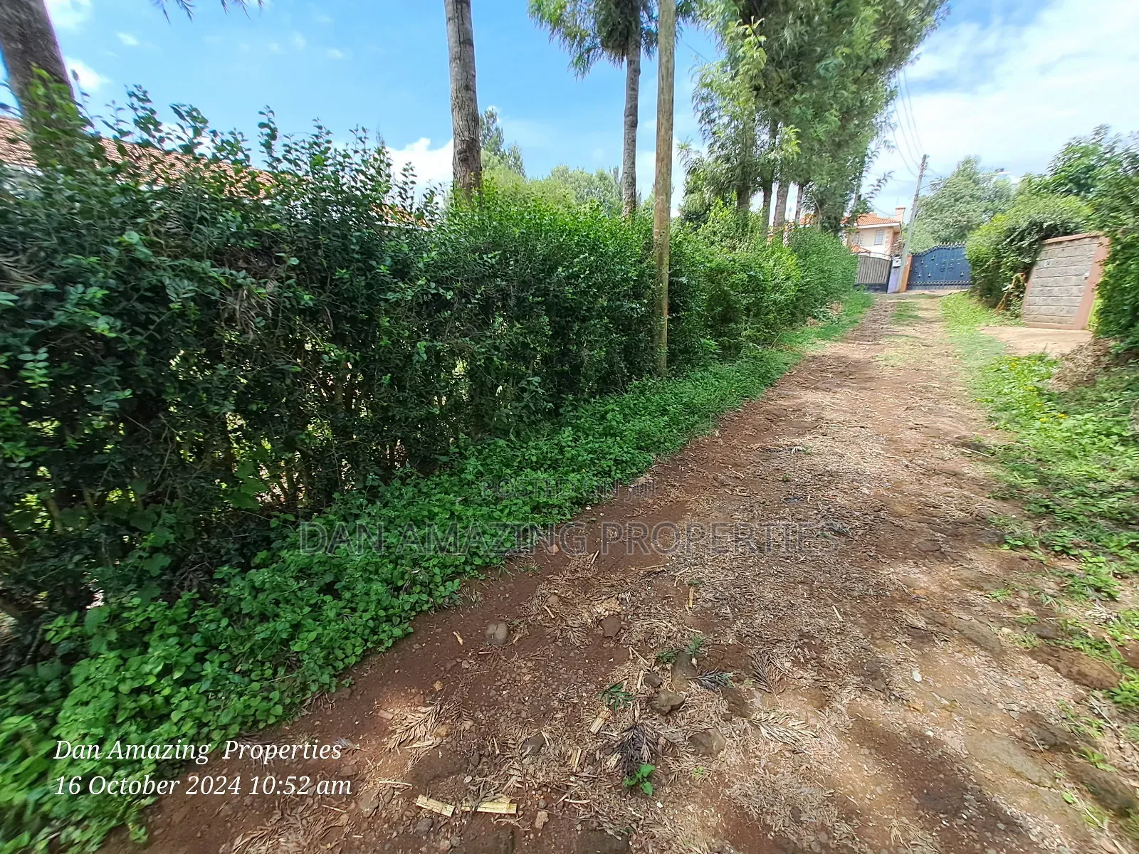 1/4 Acre for Sale in Ngong Zambia Ideal for Residential Home in Ngong