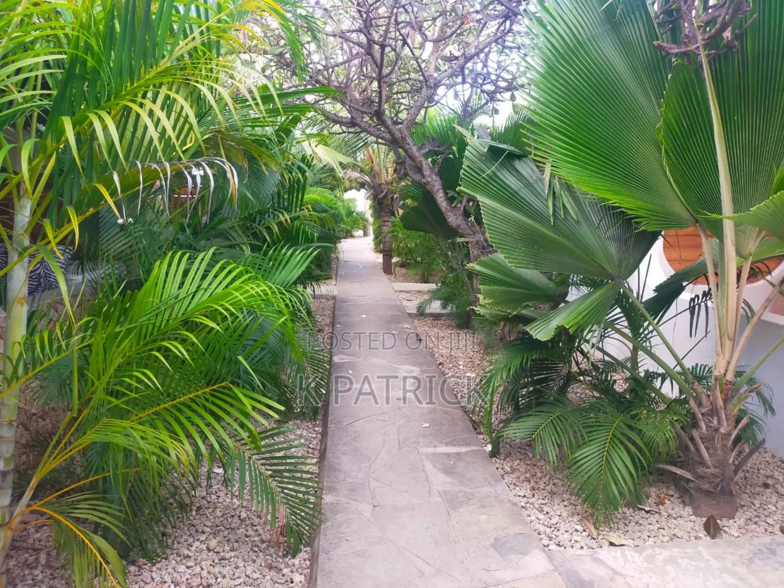 One Bedroom Airbnb in Watamu
