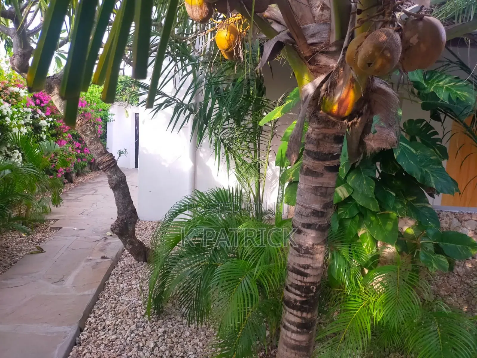 One Bedroom Airbnb in Watamu