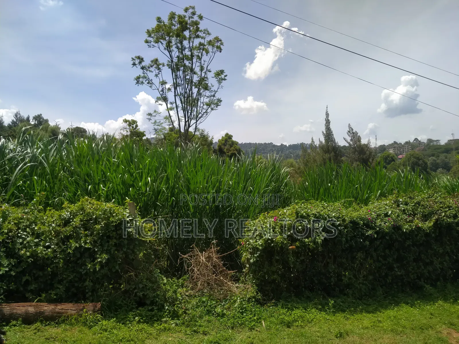 Quarter Acre Red Soil Plot in Ngong, Bondeni. Ready to Build in Ngong