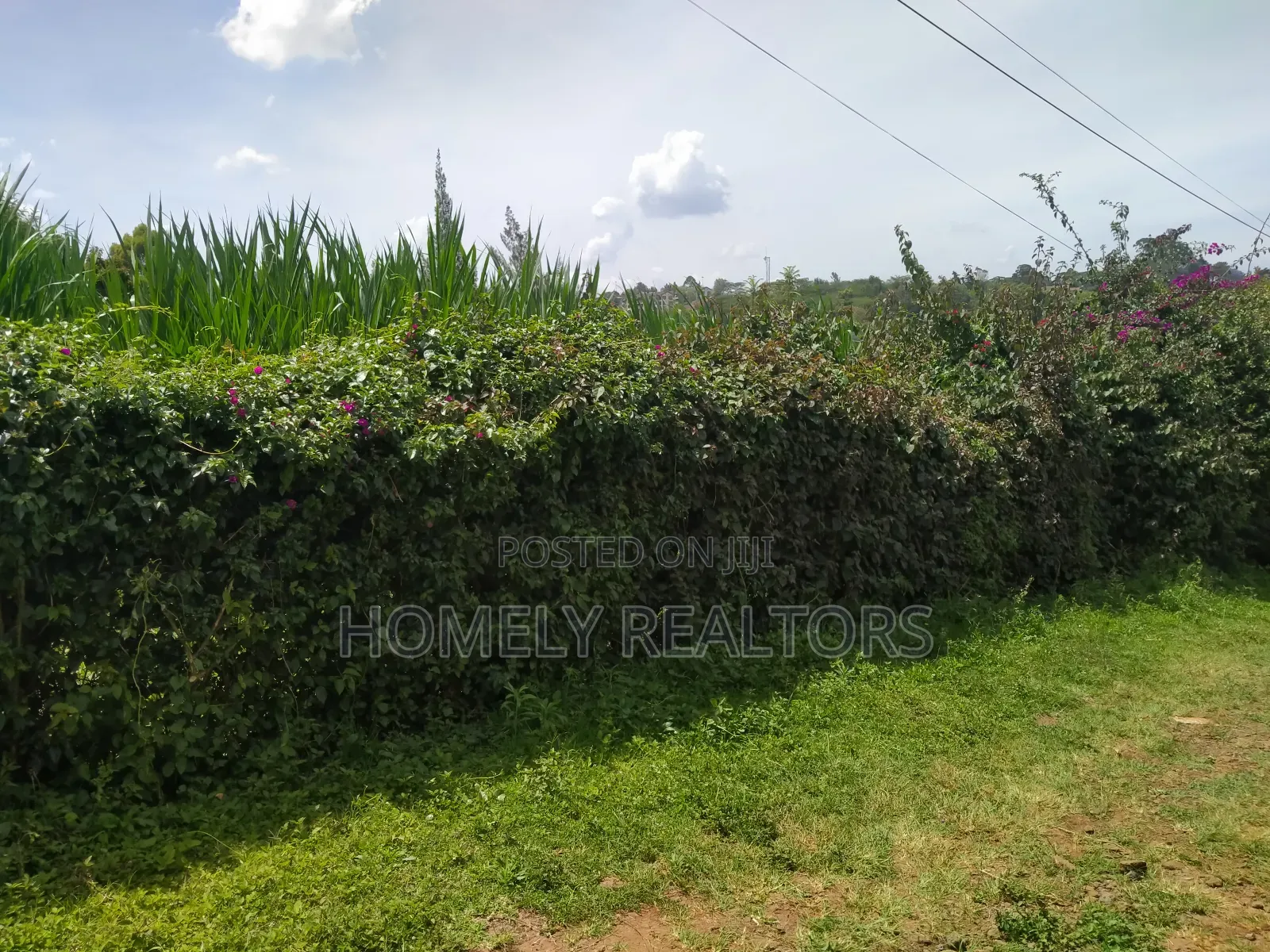 Quarter Acre Red Soil Plot in Ngong, Bondeni. Ready to Build in Ngong