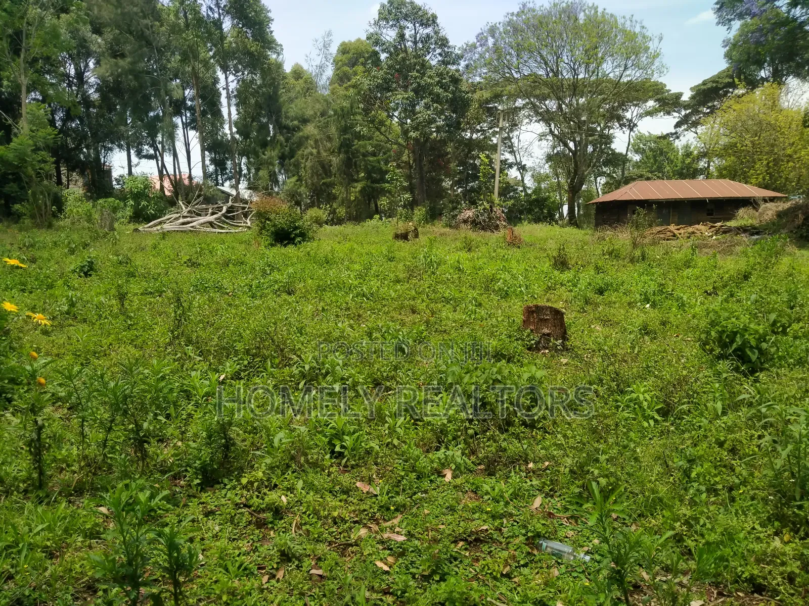Quarter Acre Plot In Ngong, Bondeni Along Masai. Red Soil in Ngong