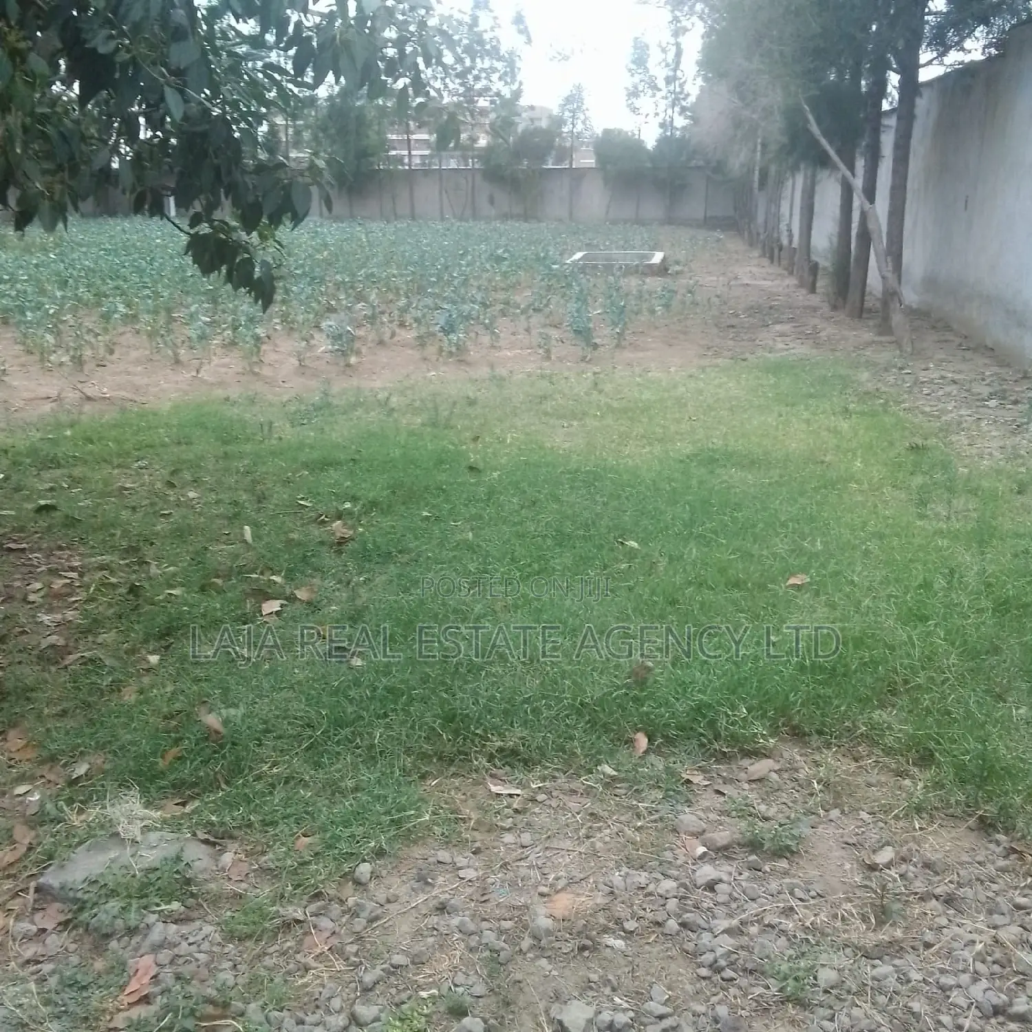 Naivasha Industrial Sale in Kihoto