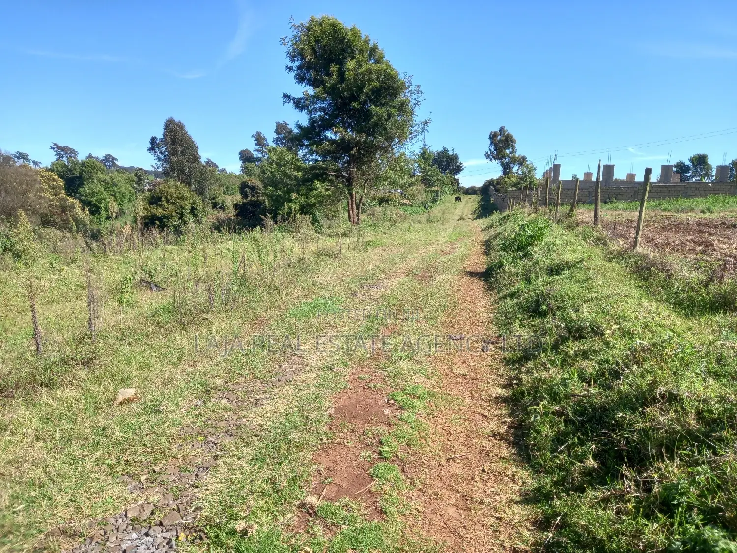 Tigoni Highlands Sale in Tigoni