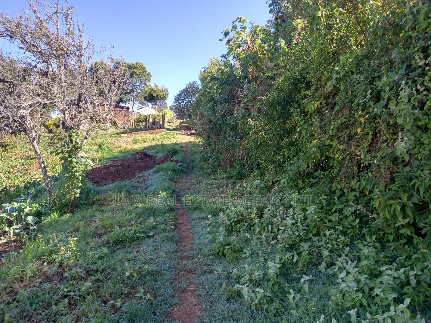 Tigoni Highlands Sale in Tigoni