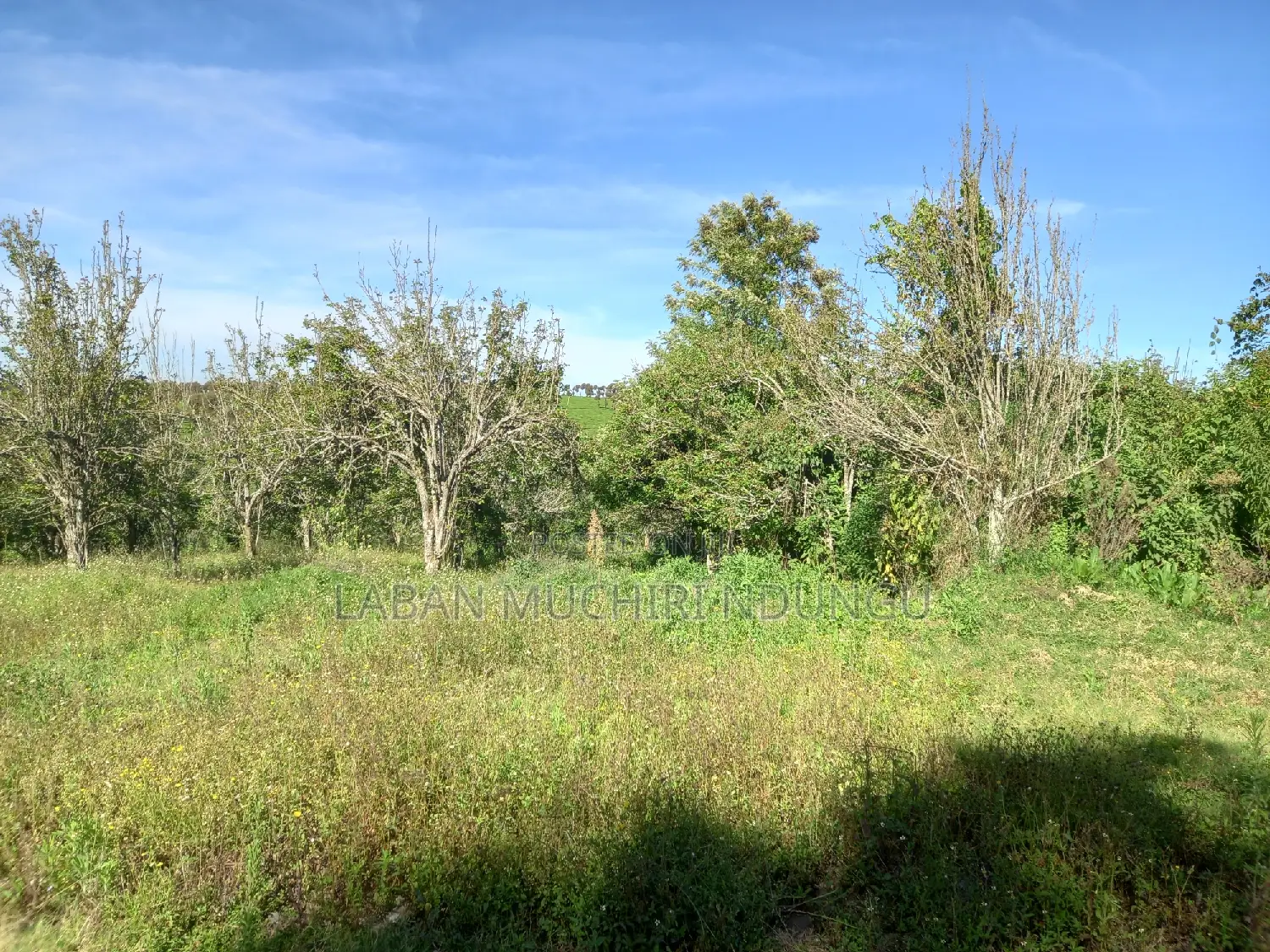 Scenic Land for a Home in Tigoni